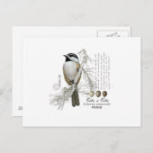 moderne winterwoudcichorei briefkaart (Voorkant / Achterkant)