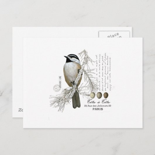 moderne winterwoudcichorei briefkaart (Voorkant / Achterkant)