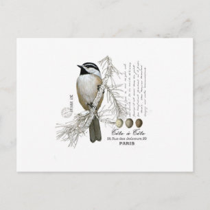 moderne  winterwoudcichorei briefkaart