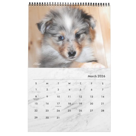 Moderne witte marmer - Aangepaste foto voor één pa Kalender (Mar 2026)