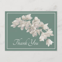 Moderne Witte Orchidee Elegante Botanische Dankbet