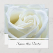 Moderne witte roos save the date (Voorkant / Achterkant)