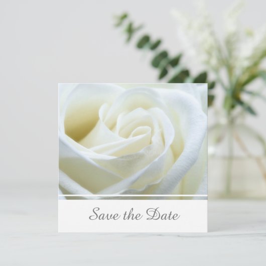 Moderne witte roos save the date (Staand voorkant)