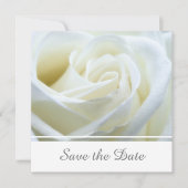 Moderne witte roos save the date (Voorkant)