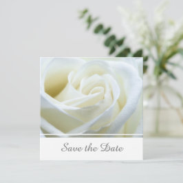 Moderne witte roos save the date