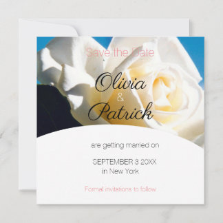 Moderne witte roos trouwkaart Save the Date