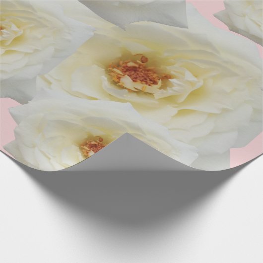 Moderne witte rozen voor haar roze achtergrond cadeaupapier (Hoek)