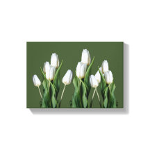 Moderne  witte tulpenbloem mooi groen