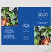 Moderne zakelijke Logo Foto drievoudig blauw broch (Voorkant)