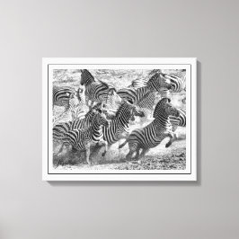 Moderne Zebra voor zwarte en witte fotografie Canvas Afdruk