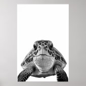 Moderne Zee schildpad zwart wit Poster (Voorkant)