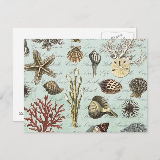 Moderne zeeshells briefkaart (Voorkant / Achterkant)