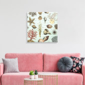 Moderne zeeshells canvas afdruk (Insitu (Woonkamer))