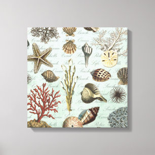 Moderne zeeshells canvas afdruk