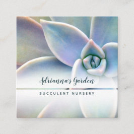 Moderne, zo weinig mogelijk Succulent Plant Neurse Vierkante Visitekaartje