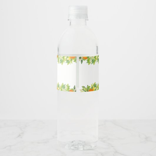 Moderne Zomer Sinaasappels Citroen Citrus Vrijgeze Waterfles Etiket (Achterkant)