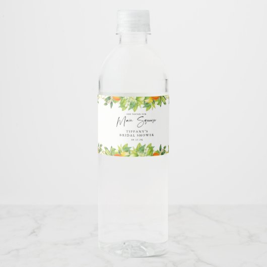 Moderne Zomer Sinaasappels Citroen Citrus Vrijgeze Waterfles Etiket (Voorkant)