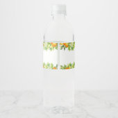Moderne Zomer Sinaasappels Citroen Citrus Vrijgeze Waterfles Etiket (Achterkant)