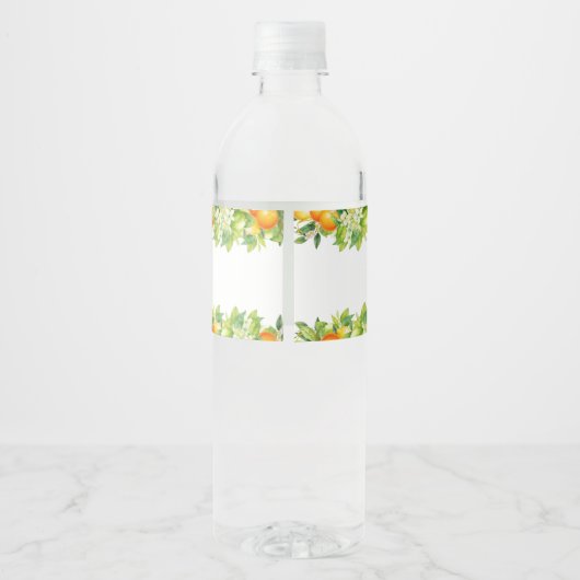 Moderne Zomer Sinaasappels Citroen Citrus Vrijgeze Waterfles Etiket (Achterkant)