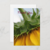 Moderne zonnebloem - Hartelijk dank Bedankkaart (Voorkant / Achterkant)