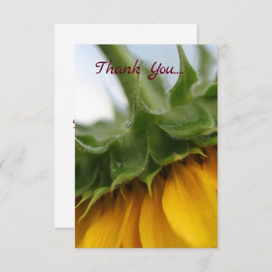 Moderne zonnebloem - Hartelijk dank Bedankkaart (Voorkant / Achterkant)