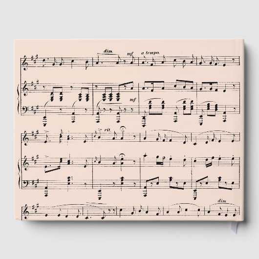 Moderne Zwart en Perzik Muziek Bruiloft uitnodigin Gastenboek (Achterkant)