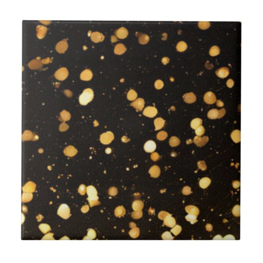 Moderne Zwart Gouden Glitter Vloer Keukenhaard Tegeltje (Voorkant)