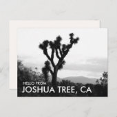 Moderne Zwart & Wit Hallo vanuit Joshua Tree Briefkaart (Voorkant / Achterkant)