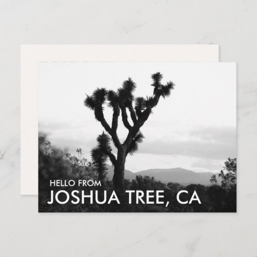 Moderne Zwart & Wit Hallo vanuit Joshua Tree Briefkaart (Voorkant / Achterkant)