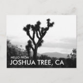 Moderne Zwart & Wit Hallo vanuit Joshua Tree Briefkaart (Voorkant)