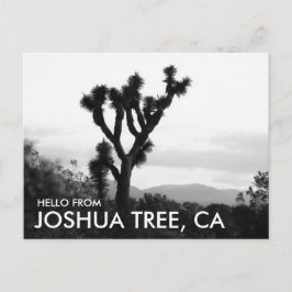 Moderne Zwart & Wit Hallo vanuit Joshua Tree Briefkaart