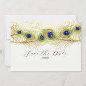 Moderne Zwirl Peacock Verloving Opslagdatum Kaart (Achterkant)