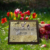 Modernisering in al zijn wijsheid gezegde poster