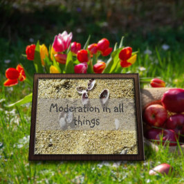 Modernisering in al zijn wijsheid gezegde poster