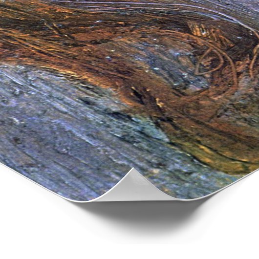 Modersohn-Becker - Hoofd van een klein meisje (Els Poster (Hoek)