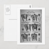 Modes voor fietsen1897 -  briefkaart (Voorkant / Achterkant)