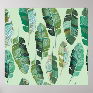 Modieuze Banaan Planten Tropische illustratie Poster