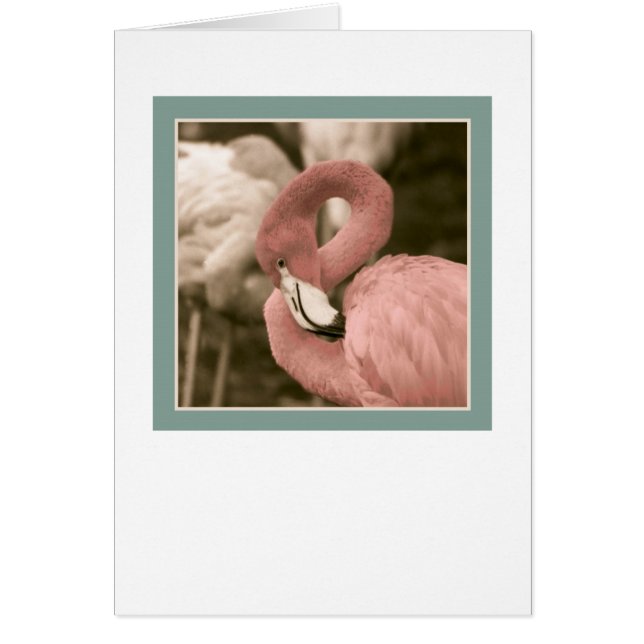 modieuze flamingo (Voorkant)