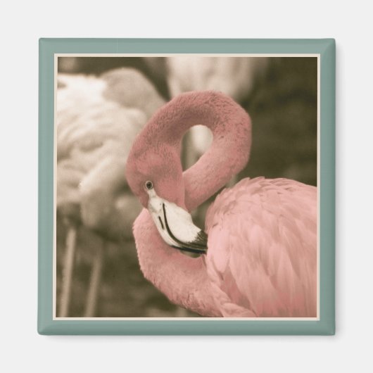 modieuze flamingo magneet (Voorkant)