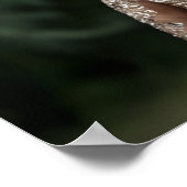 Modieuze Kangoeroe in Couture Outfit Poster (Hoek)