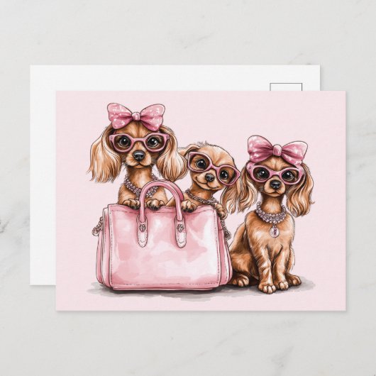 Modieuze teckel honden roze portemonnee briefkaart (Voorkant / Achterkant)