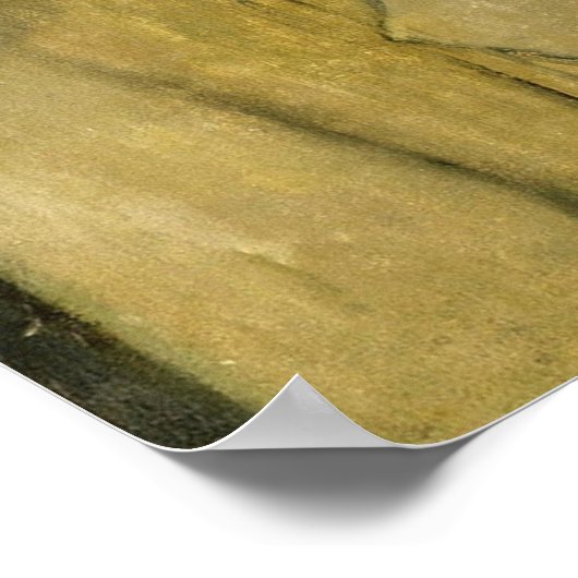 Modigliani - Man met Pet 1915 Poster (Hoek)