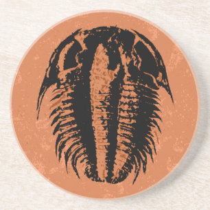 Modocia Typicalis Fossil Trilobite Zandsteen Onderzetter