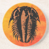 Modocia Typicalis Fossil Trilobite Zandsteen Onderzetter (Voorkant)