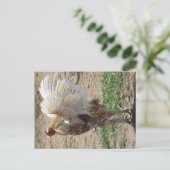 "Moe" Briefkaart (Staand voorkant)