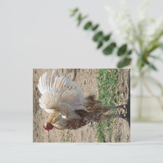 "Moe" Briefkaart (Staand voorkant)