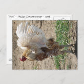 "Moe" Briefkaart (Voorkant / Achterkant)