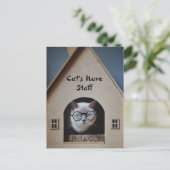 Moe Kat Humor Grappige Katten Hebben Personeel Cit Briefkaart (Staand voorkant)