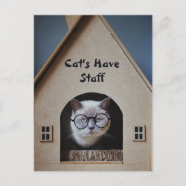 Moe Kat Humor Grappige Katten Hebben Personeel Cit Briefkaart