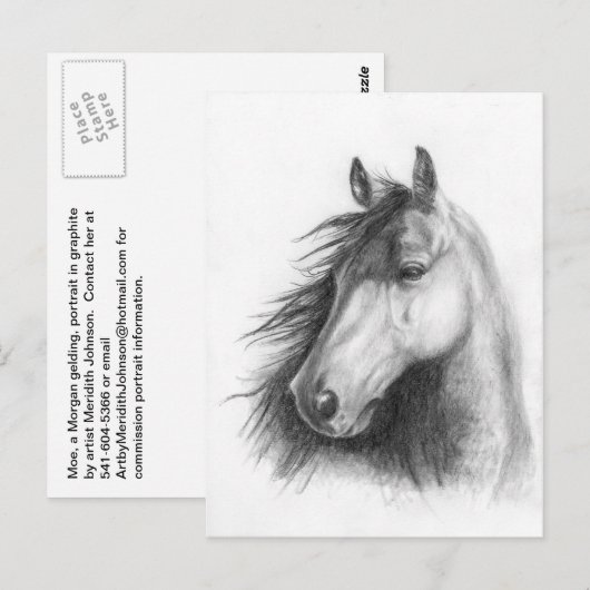 Moe the Morgan portret briefkaart (Voorkant / Achterkant)